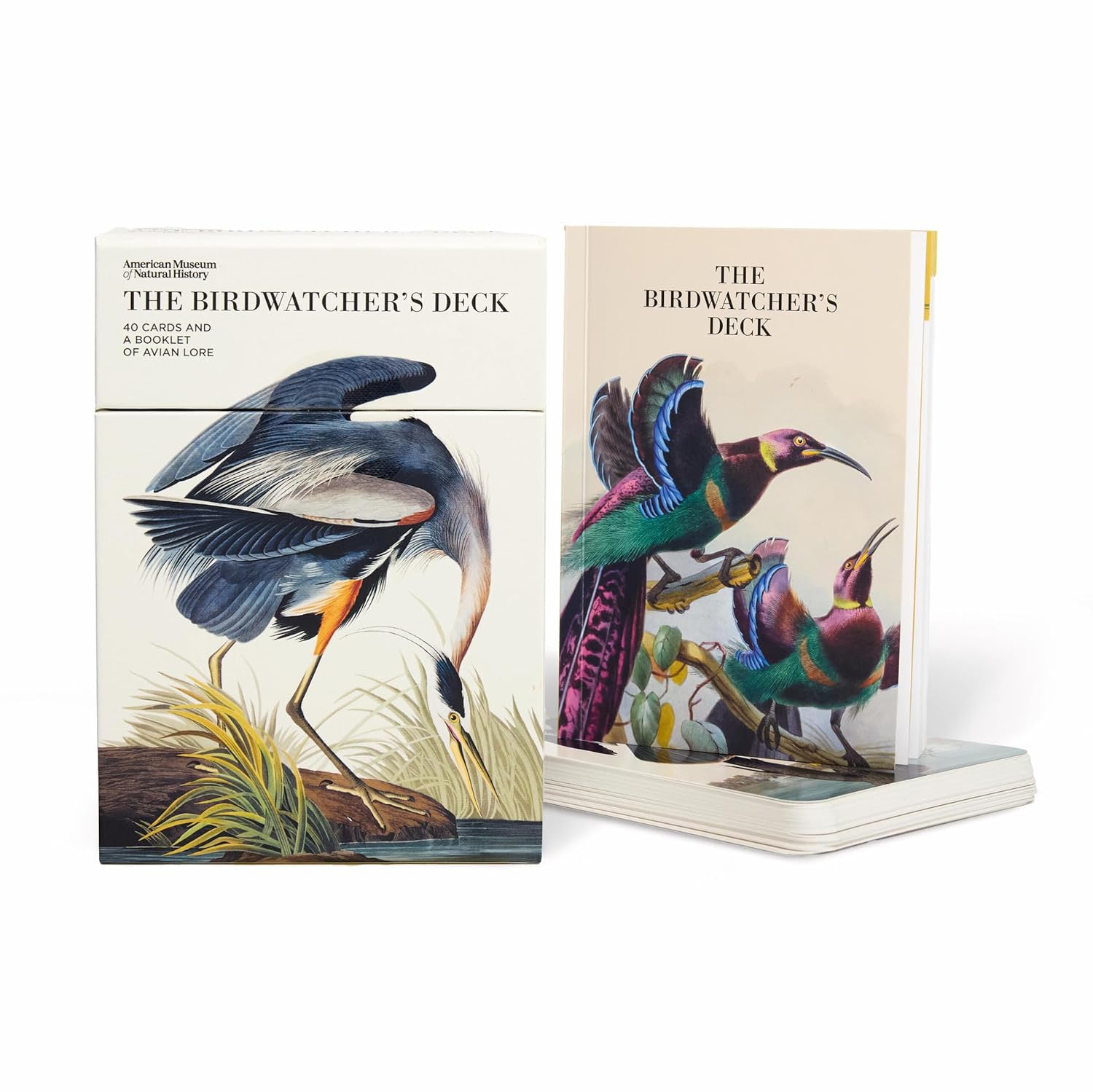 The Birdwatcher's Deck