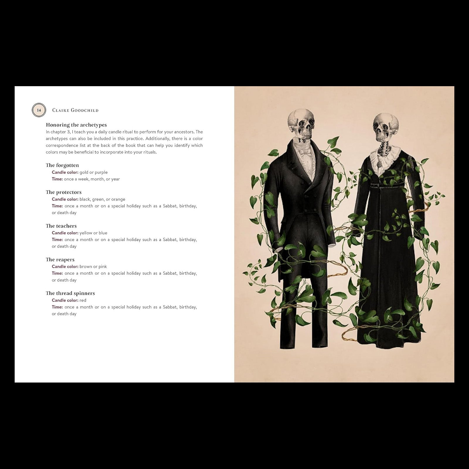 The Book of Ancestors