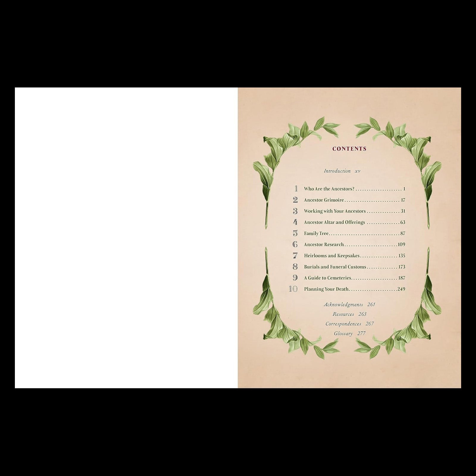 The Book of Ancestors