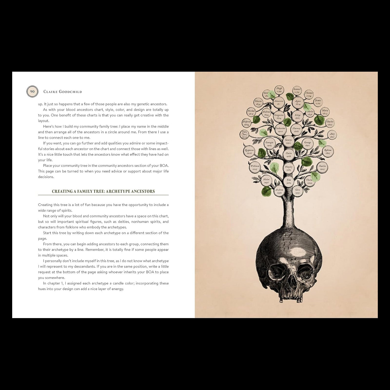 The Book of Ancestors