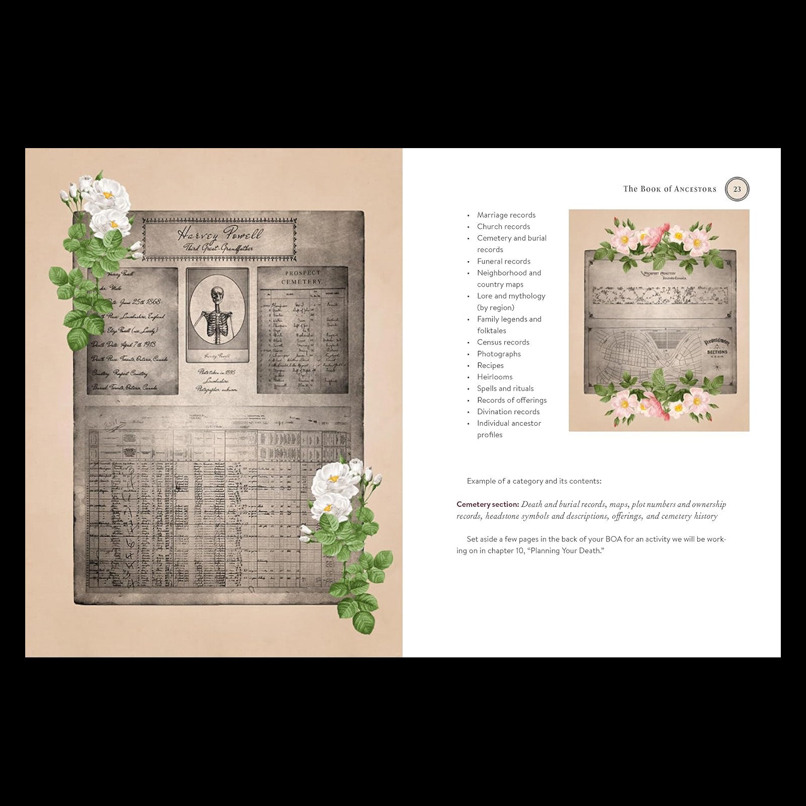 The Book of Ancestors