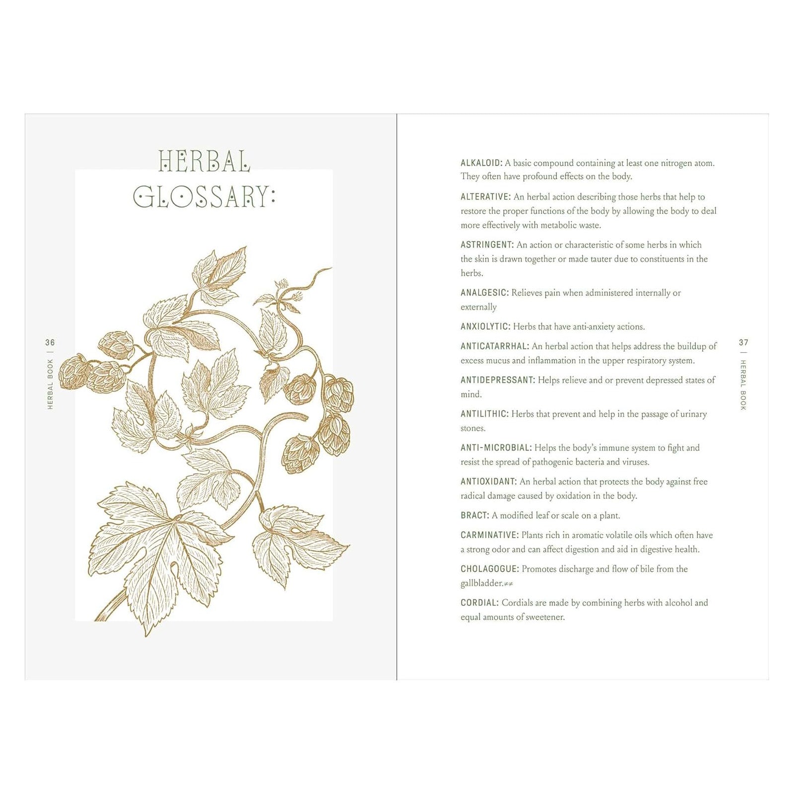 The Complete Folk Herbal