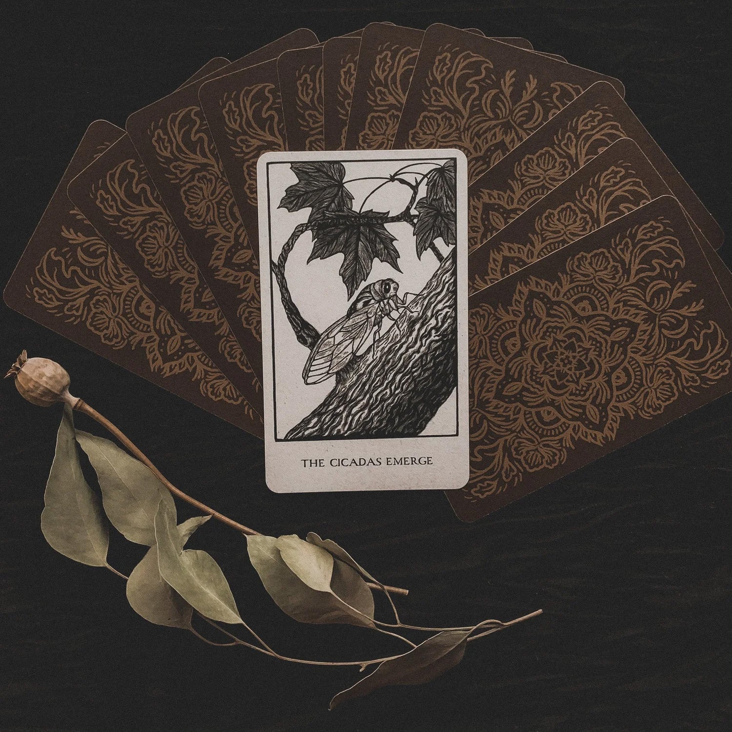 The Earth Speaks Oracle Deck