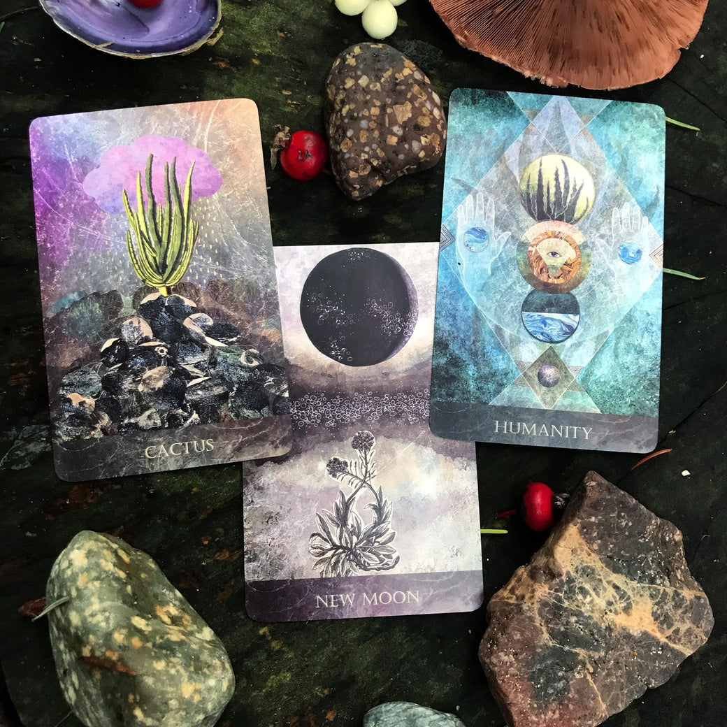 The Faceted Garden Oracle