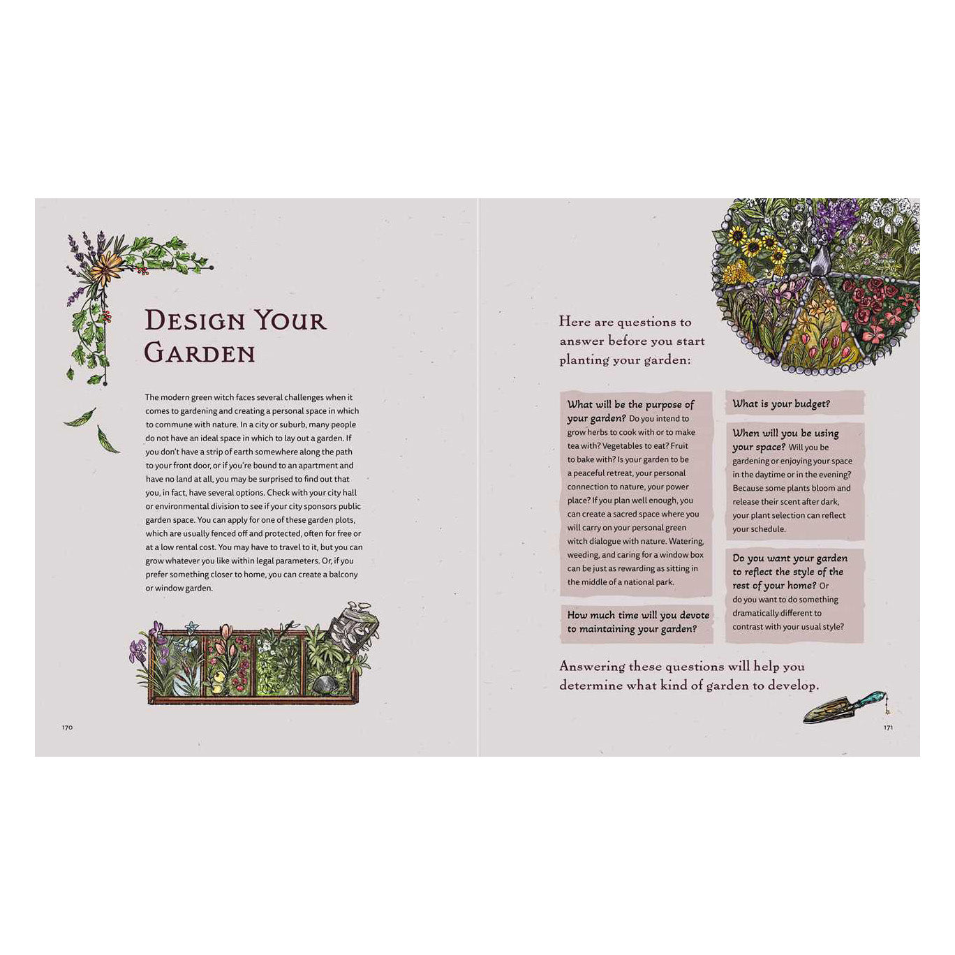 The Green Witch Illustrated