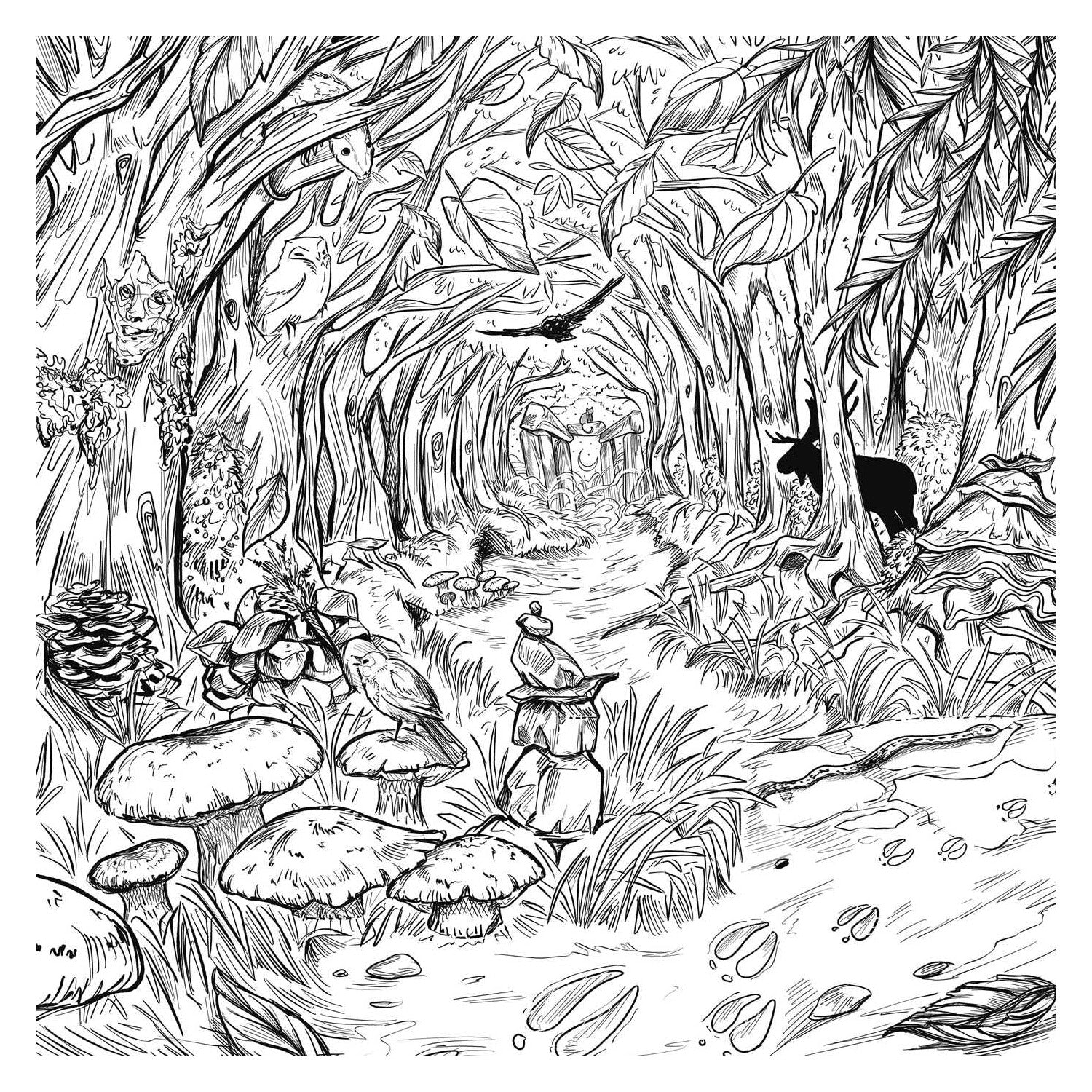 The Green Witch's Coloring Book
