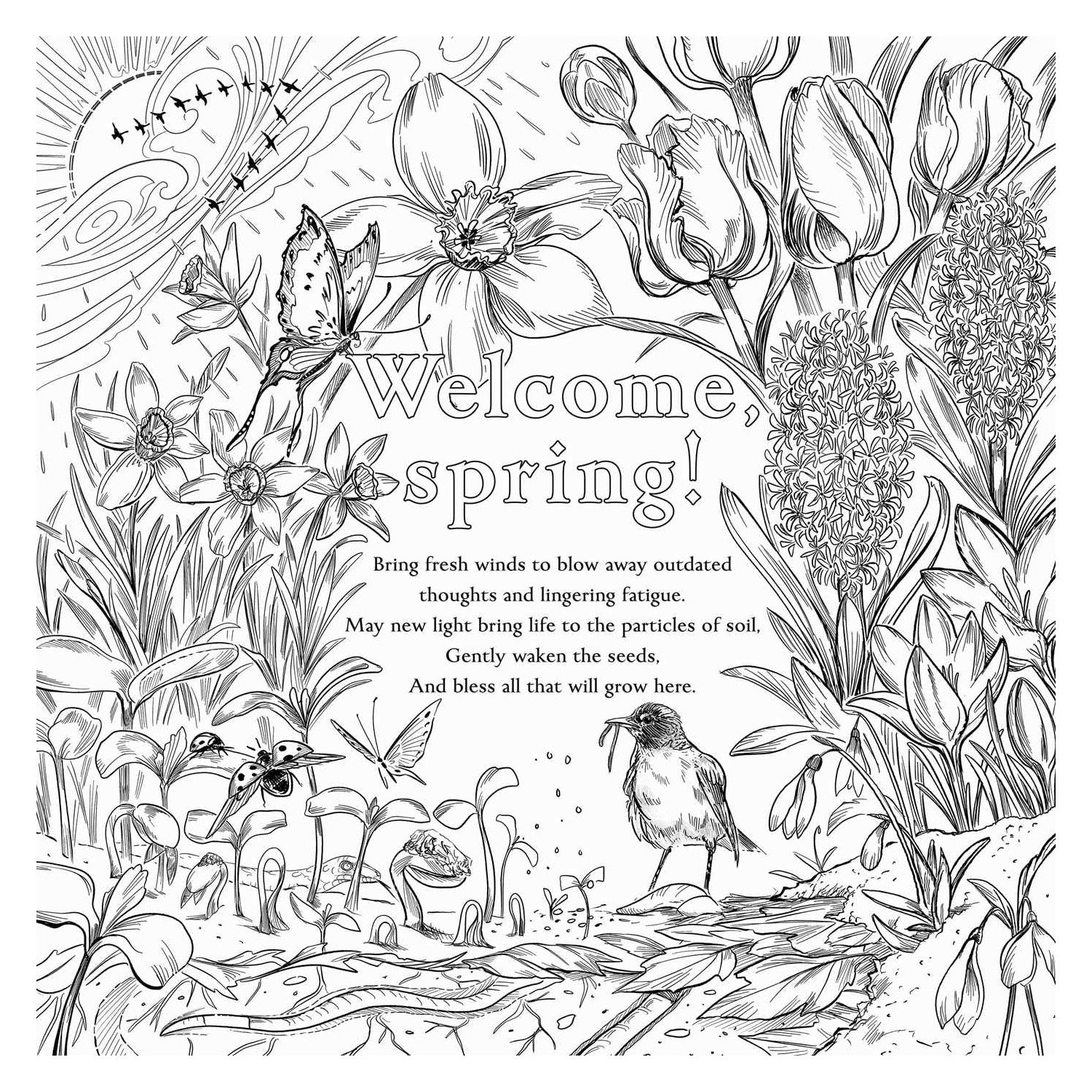 The Green Witch's Coloring Book