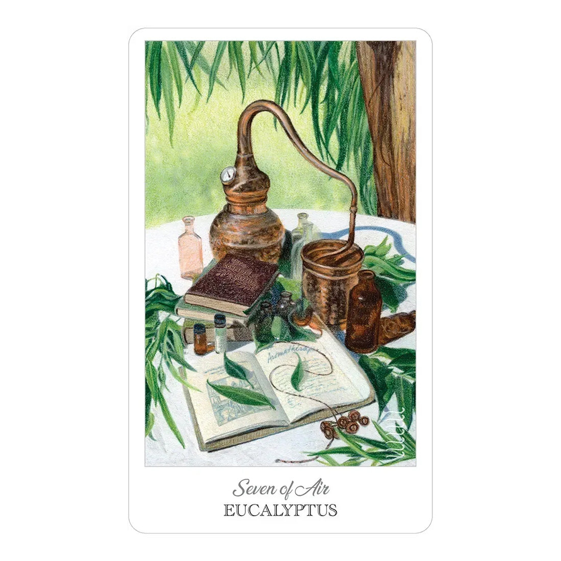 The Herbcrafter’s Tarot
