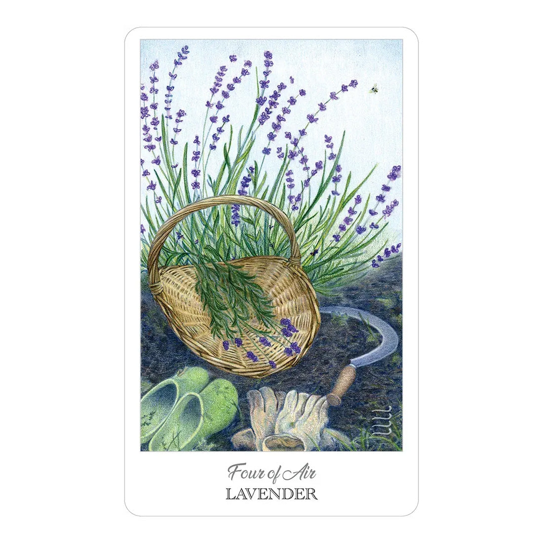 The Herbcrafter’s Tarot
