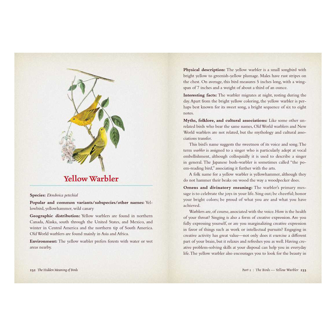 The Hidden Meaning of Birds