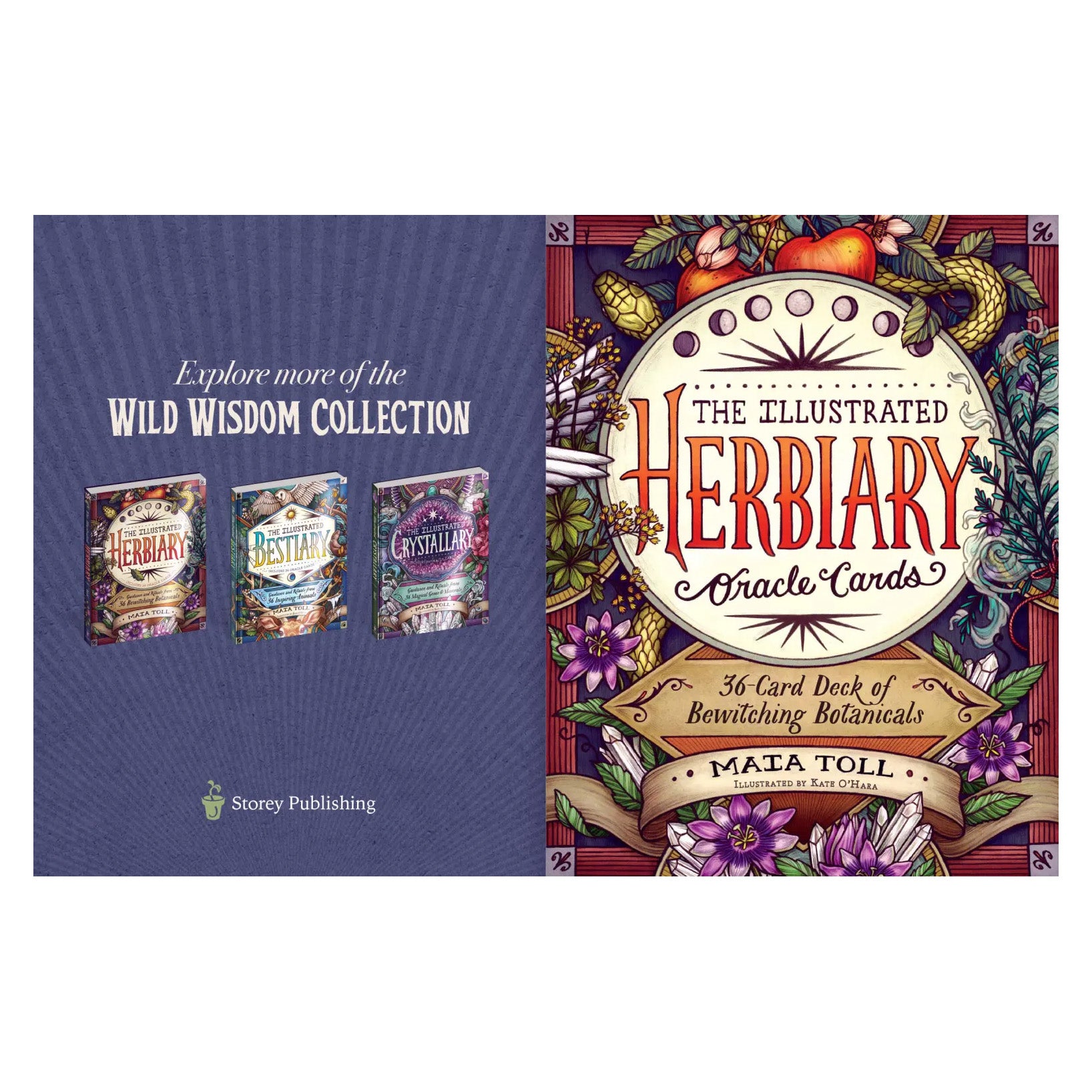 The Illustrated Herbiary Oracle Cards