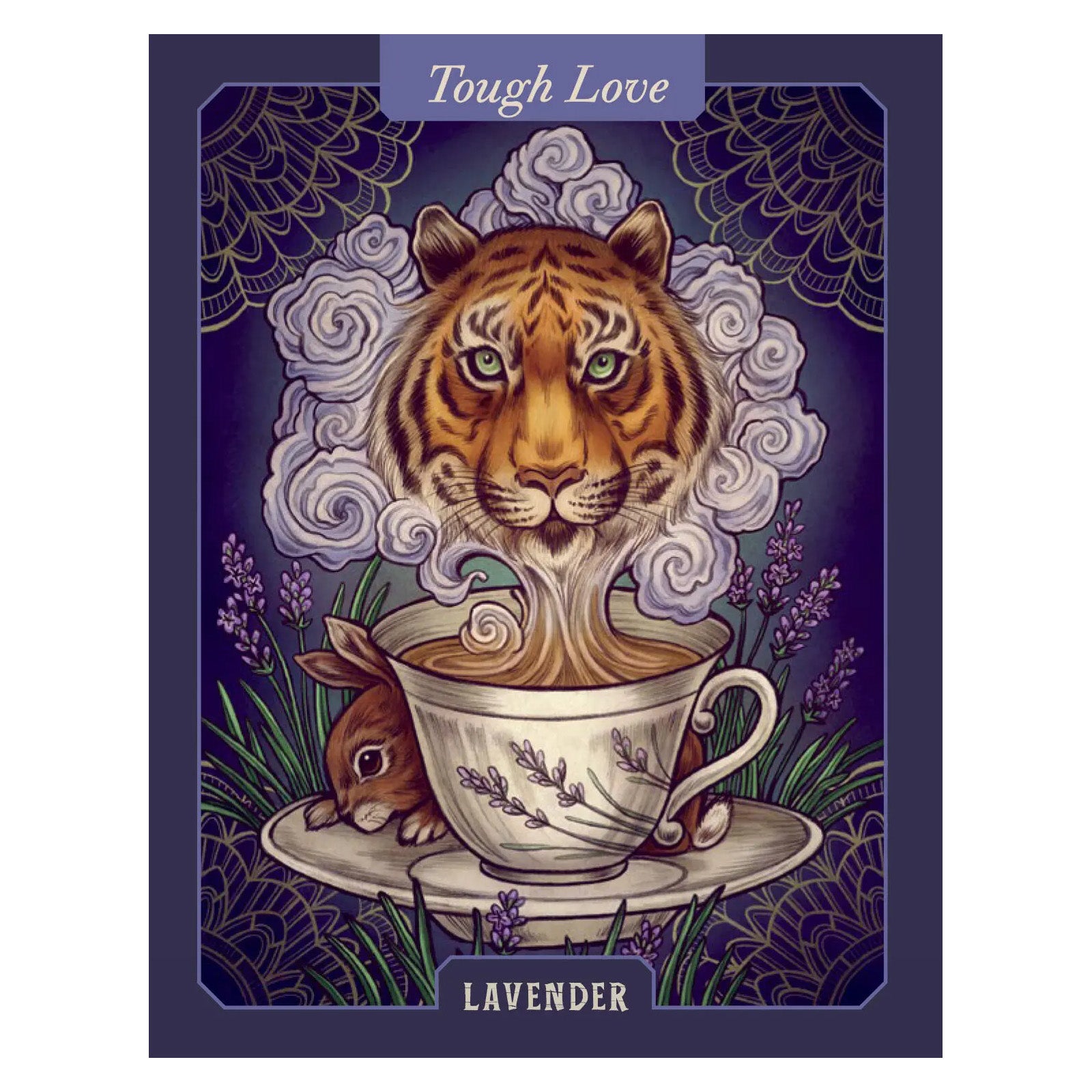 The Illustrated Herbiary Oracle Cards