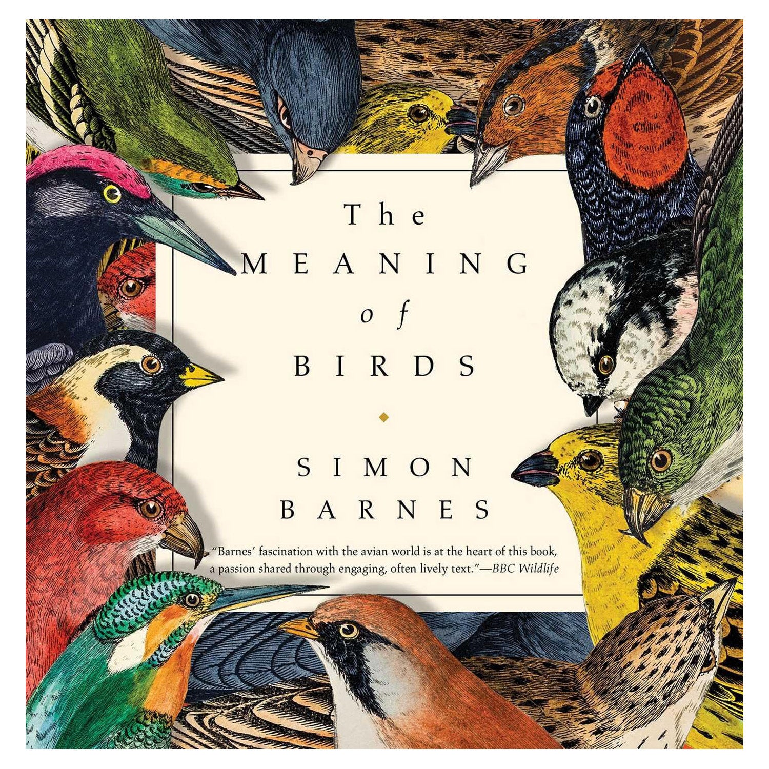 The Meaning Of Birds