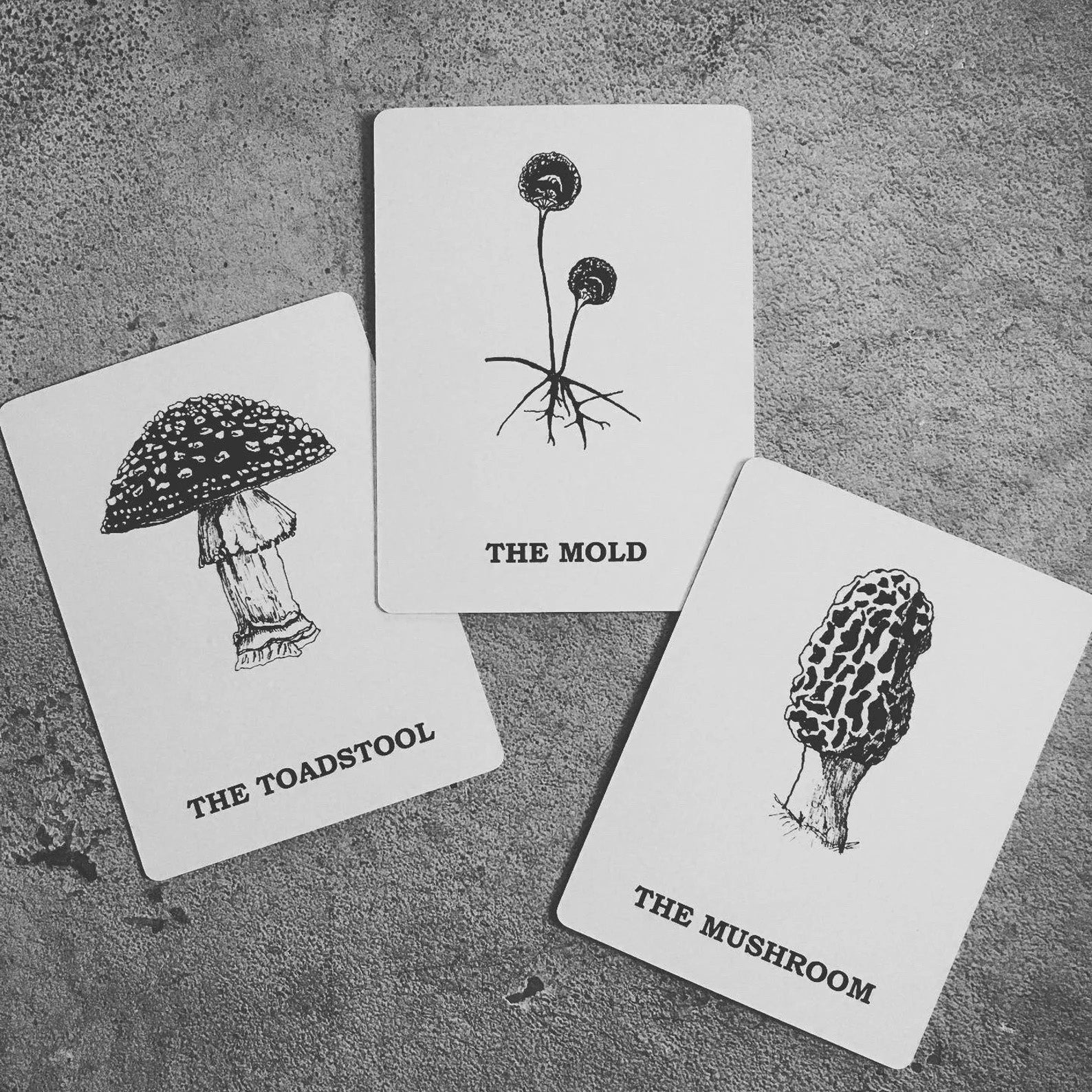 The Personal Oracle Deck and Book Set