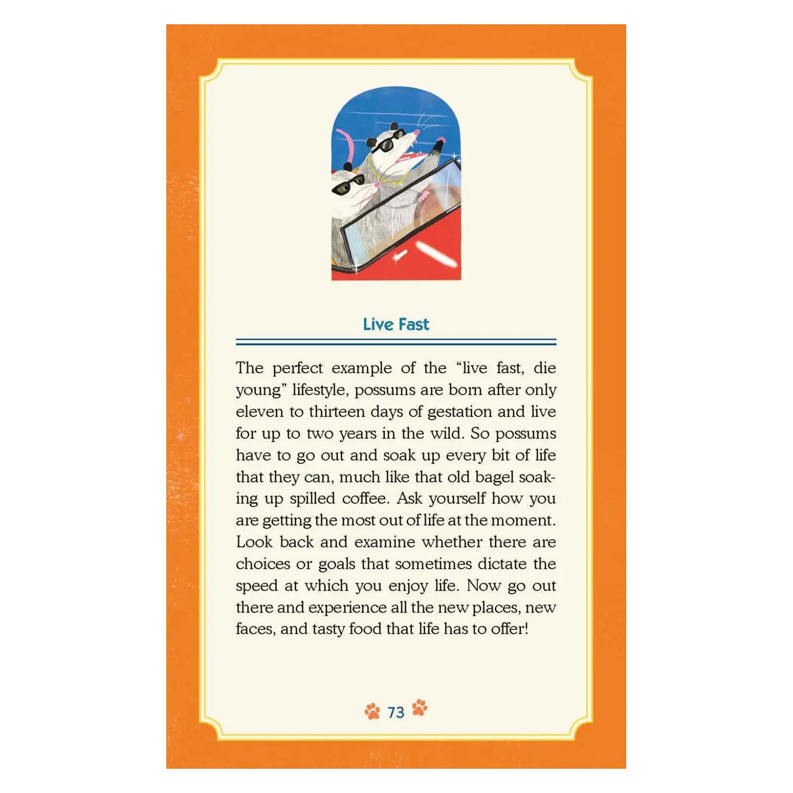 Trash Animals Oracle