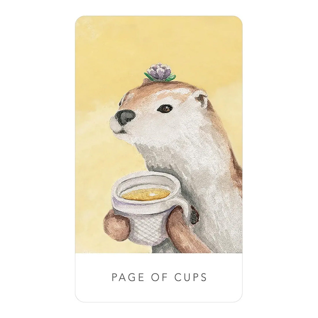 White Sage Tarot in a Tin