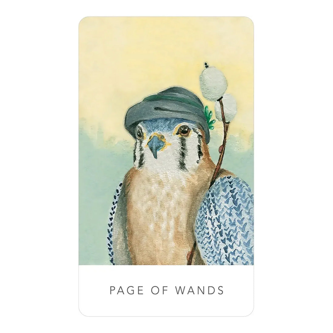 White Sage Tarot in a Tin