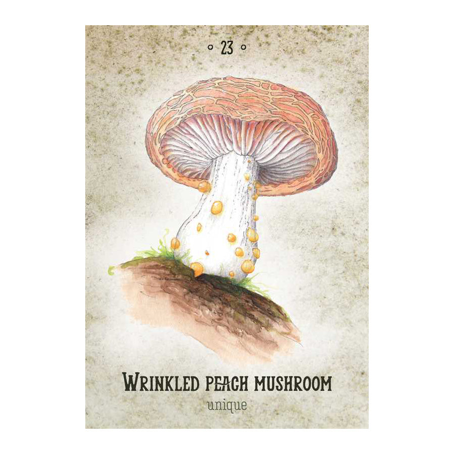 Mushroom Spirit Oracle